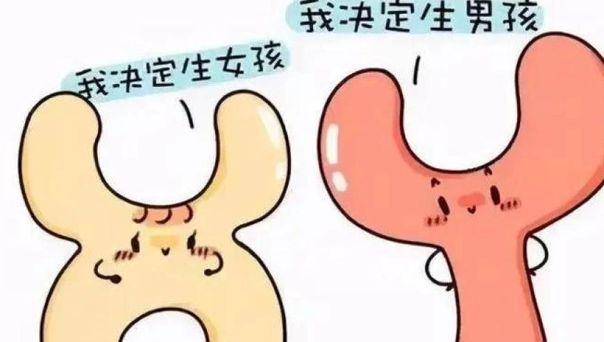 精準三肖三碼三期內(nèi)必中特,竇萬貴受賄案一審開庭_手游版V2.68