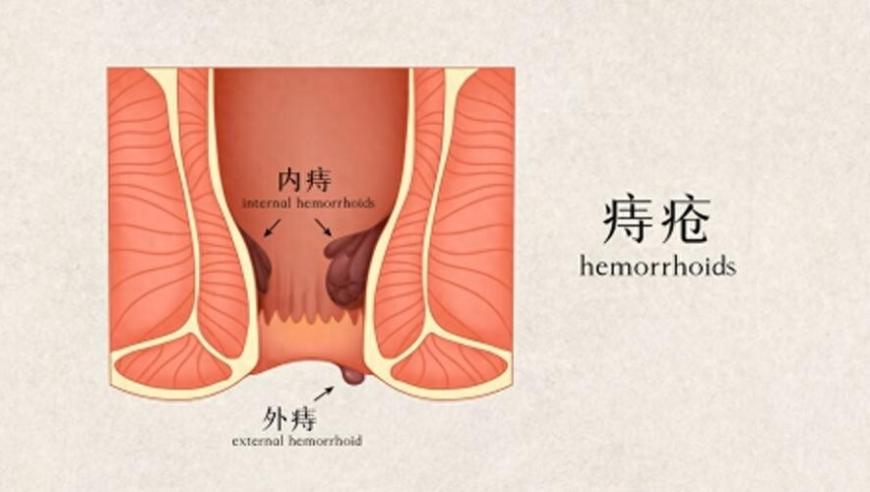 118跑狗論壇資料大全網(wǎng)頁(yè),河南經(jīng)濟(jì)挑戰(zhàn)與機(jī)遇_影像版V11.87